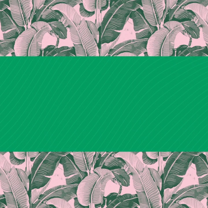 Spent — 포트폴리오 이미지