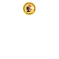 Original E-delivery award and festival recognition 8