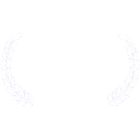 Original E-delivery award and festival recognition 9